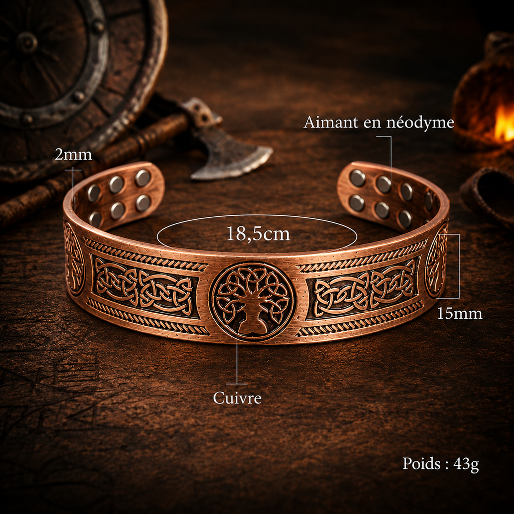 Edition Midgard
